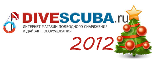 Поздравления с наступающим Новым 2012 годом