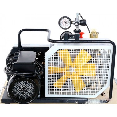 Компрессор БАРОС 100 Э, 220в