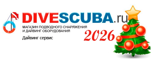Поздравления с наступающим Новым 2026 годом