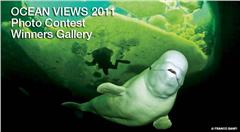фотоконкурс «2012 Ocean Views Photo Contest»