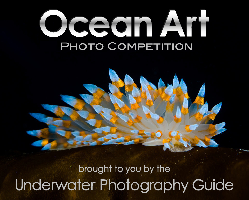 Ocean Art Photo Competition 2011