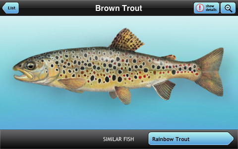 Приложение для iPhone: идентификация рыб
