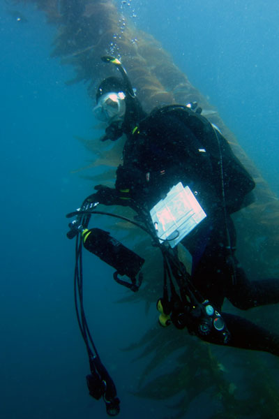 Обзор трехприборных консолей