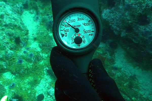 Обзор трехприборных консолей