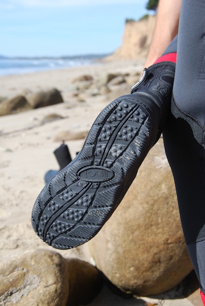 Fourth Element Amphibian