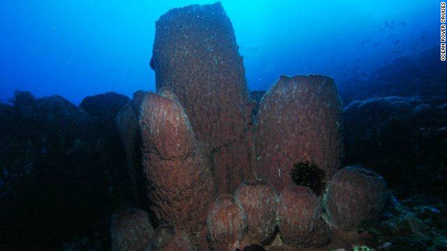 Обзор необычных мест для дайвинга