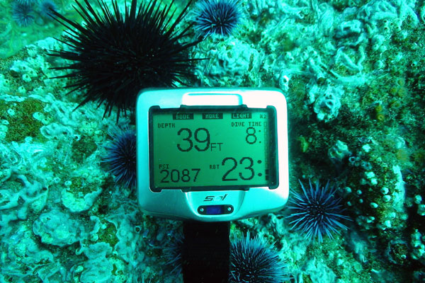 Обзор лучших дайвинг-компьютеров