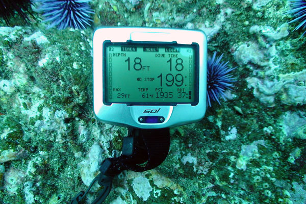 Обзор лучших дайвинг-компьютеров